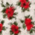 White and Crimson Rose