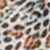 Jaguar Print